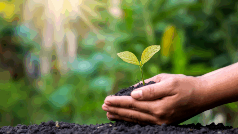 Pais Vasco. Ayudas a la transición producción ecológica certificada