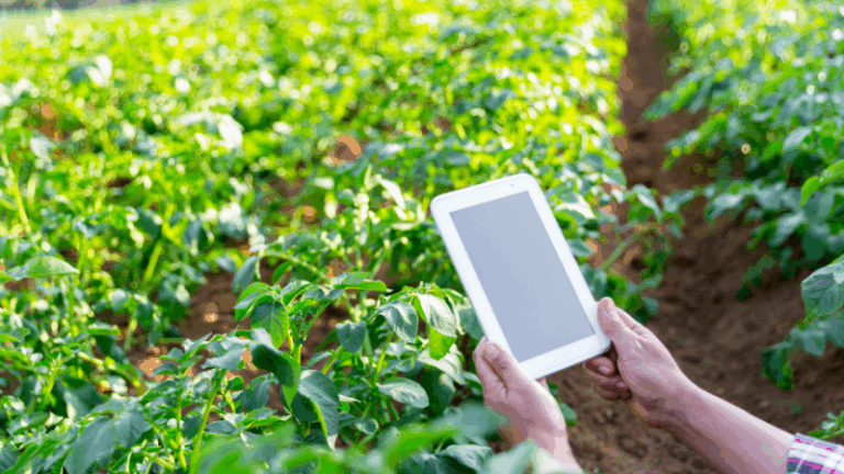 Ayudas Digitalización. Bases Reguladoras