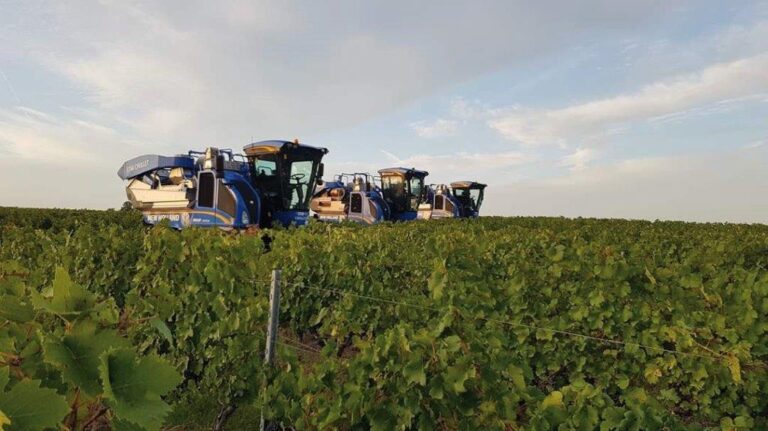 New Holland introduce una nueva malla despalilladora para sus vendimiadoras Braud