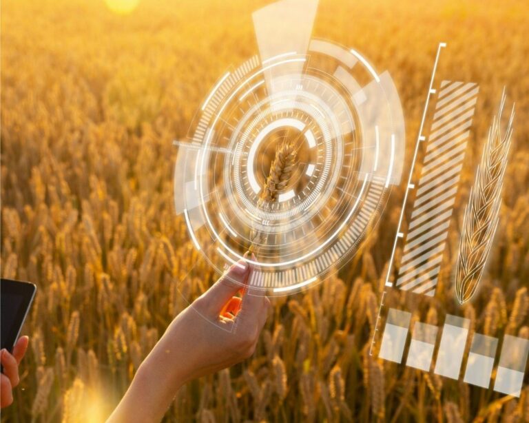 Syngenta elige Madrid como sede para localizar su Digital Hub internacional “Techfarm”