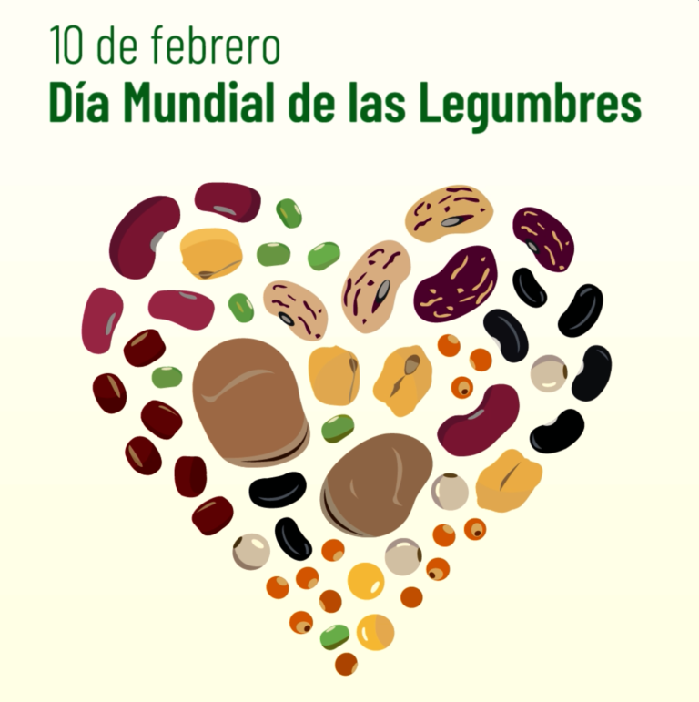 HOY. Día mundial de las legumbres. El sector pide campañas de promoción del consumo de legumbres en España para fomentar un alimento saludable y un cultivo sostenible