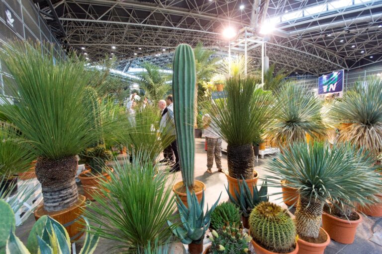 TODO LISTO PARA LA GRAN CITA DEL SECTOR VERDE •	Bajo el lema “United in Green”, Iberflora se celebra del 1 al 3 de octubre en Feria Valencia coincidiendo con Vegetal World