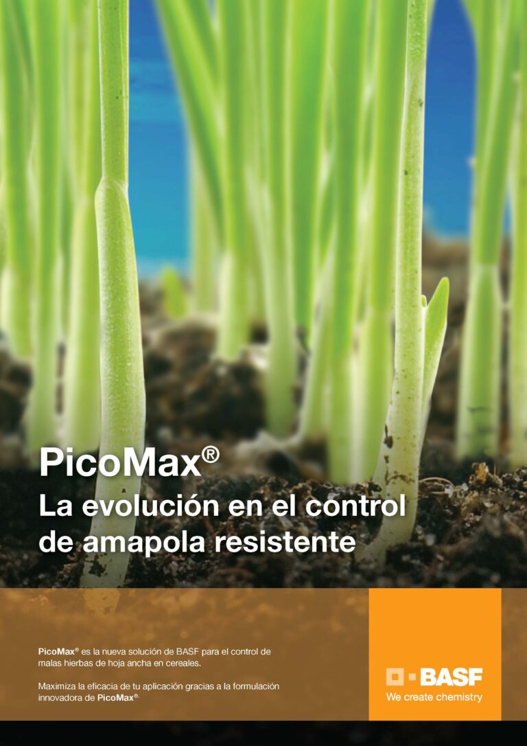 PicoMax® nueva solución de BASF para el control de la amapola resistente en cereales