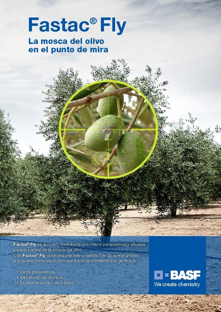 BASF lanza Fastac® Fly, su nuevo insecticida para el control de la mosca del olivo