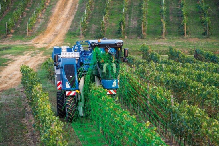 Braud 7030L y 9030L: modelos esenciales para la recolección de viñedos anchos