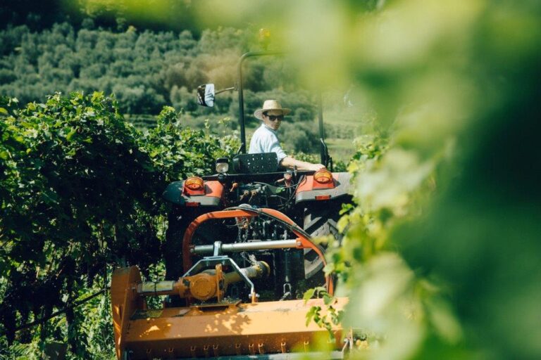 Valtra presenta los modelos de la Serie F Fase V