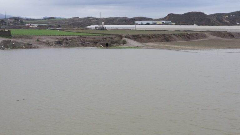 ASAJA Almería informa de que habrá indemnizaciones para los agricultores afectados por las lluvias de diciembre