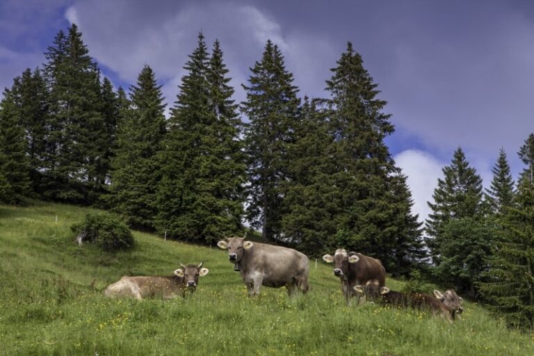 Apag Extremadura Asaja rechaza los cambios horarios y recuerda que son perjudiciales para el campo