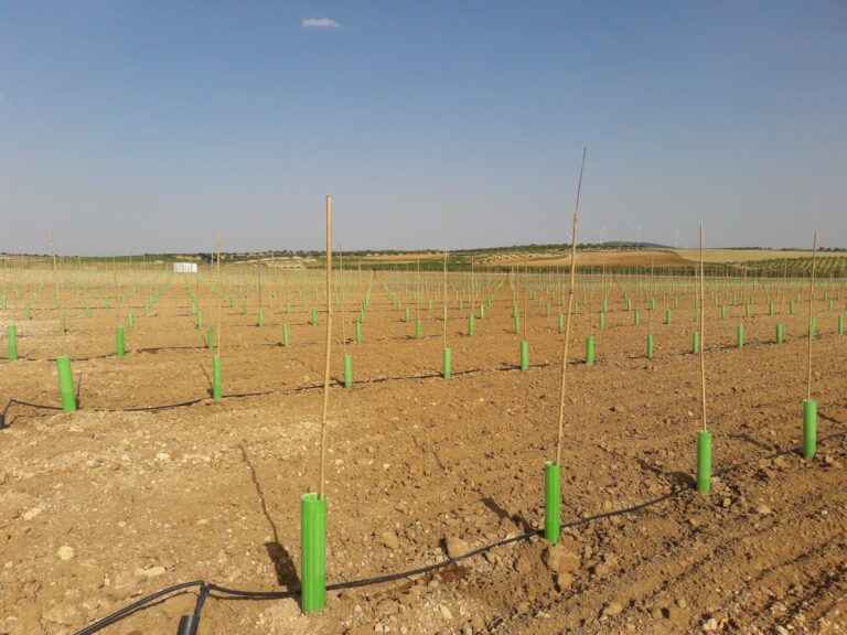 ASAJA CLM solicita una reunión urgente con la Consejería de Agricultura para buscar soluciones a los problemas de las ayudas de la agricultura ecológica