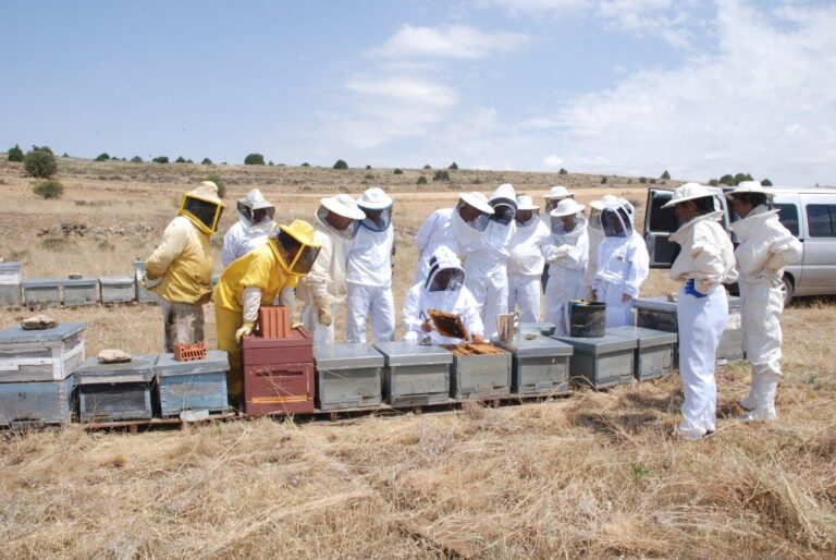 Asaja Guadalajara :La “VIII Jornada de Apicultura” permite al apicultor reciclarse en manejo y sanidad apícola