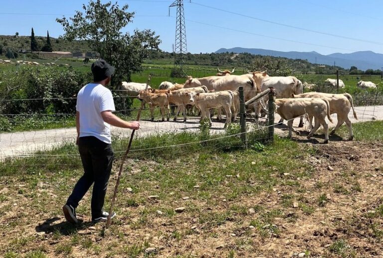 Asaja Castilla y León valora positivamente la ayuda a la sucesión de explotaciones, pero pide que se incluya la transmisión de padres a hijos