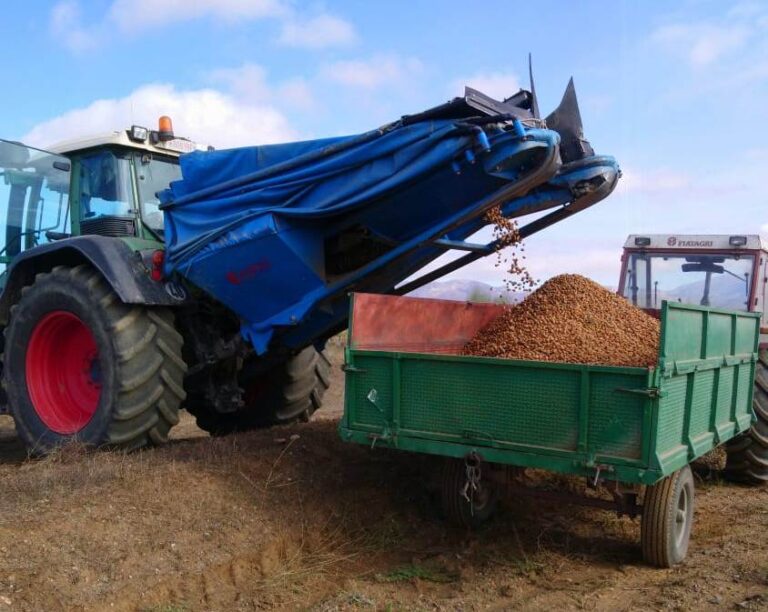 ASAJA Almería calcula que la producción de almendra experimentará un descenso del 51 %
