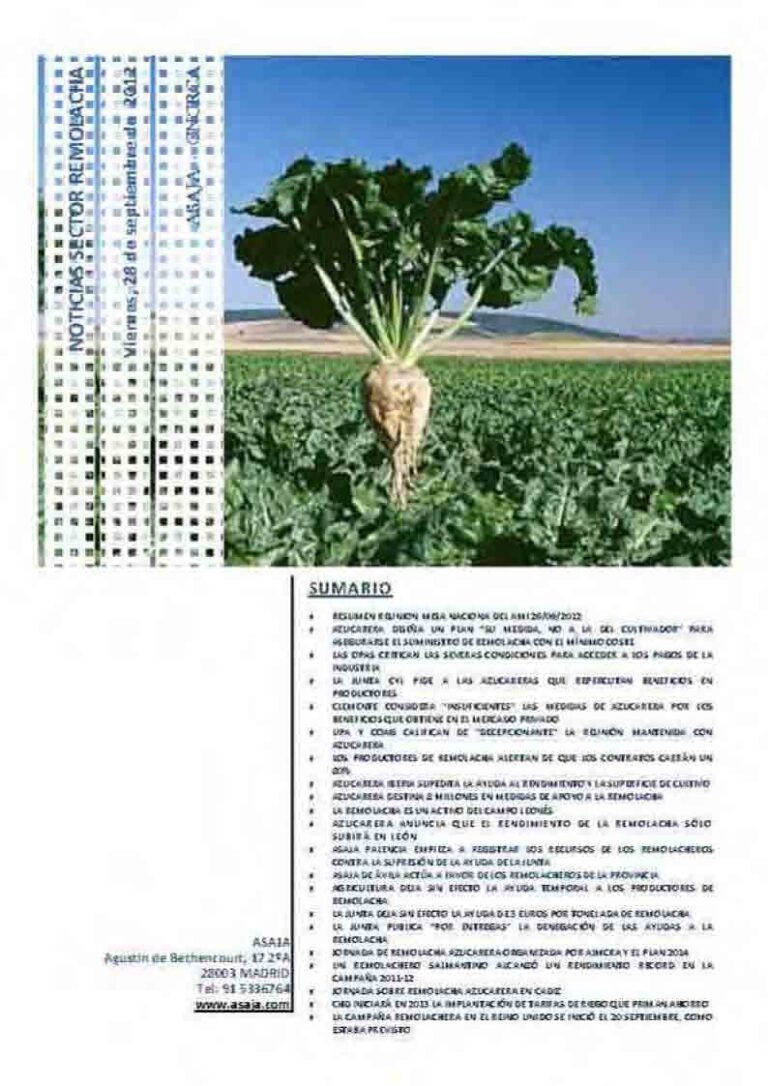 Noticias Sector Remolacha (Viernes, 28 de septiembre de 2012)