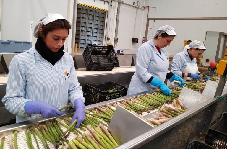 El Gobierno modifica las bases reguladoras para la concesión de ayudas a la integración asociativa en el sector agroalimentario para mejorar la competitividad