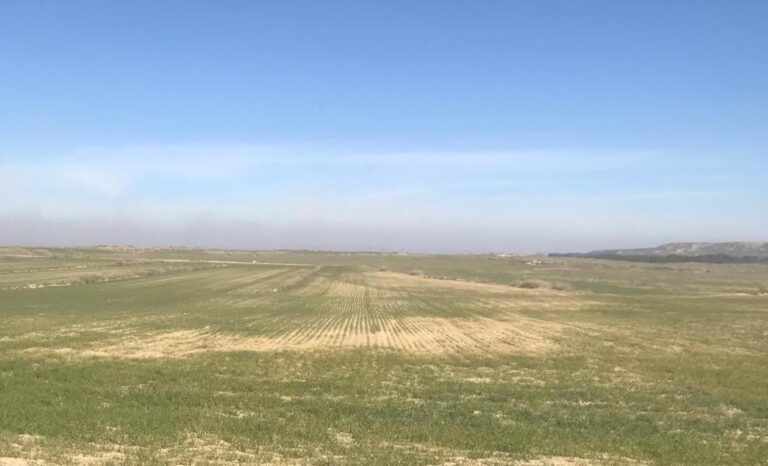 Córdoba. Asaja alerta de la preocupante situación en el campo por la sequía