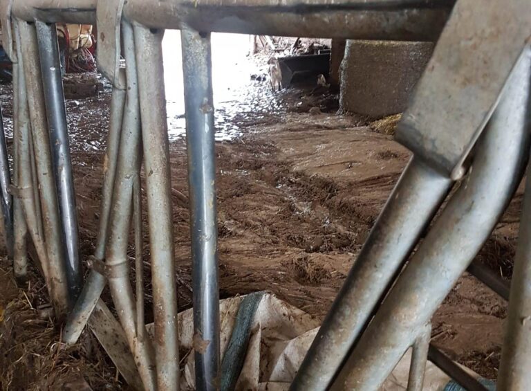 ASAJA Palencia pide al Ministerio que compense las pérdidas provocadas por los desbordamientos