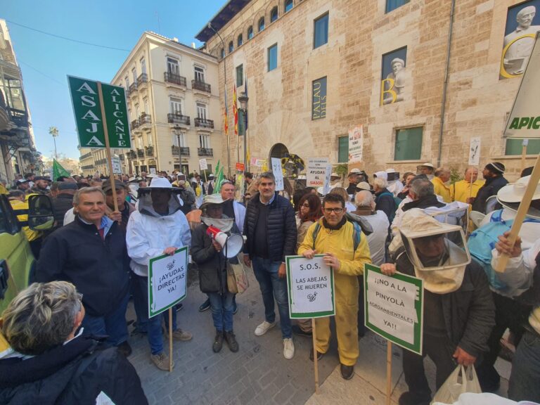 Más de 300 apicultores se han concentrado hoy en les Corts Valencianes para protestar por el abandono de las Administraciones