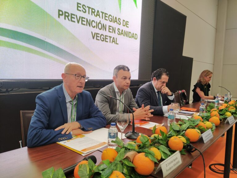 El proyecto Life Vida For Citrus demuestra los efectos positivos de sus innovaciones para los cítricos y la prevención del HLB