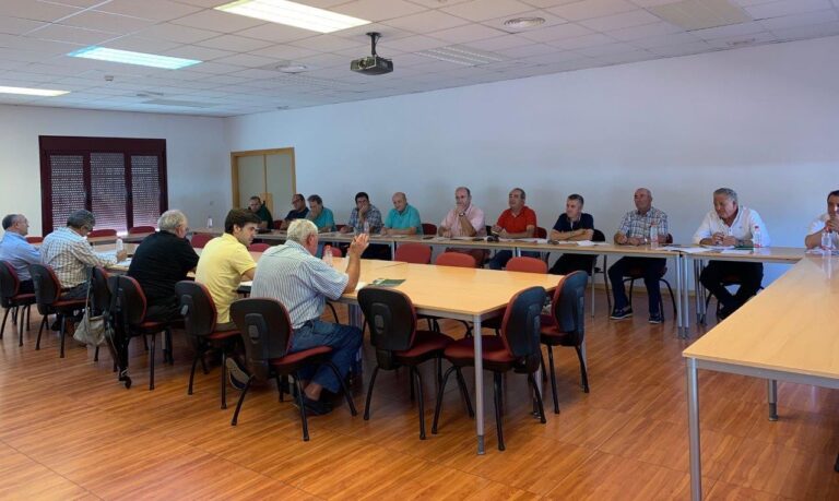 Asaja de C-LM asegura que deberían darse las condiciones para un buen arranque de vendimia