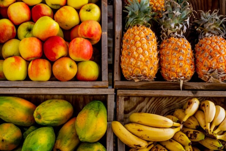 Las exportaciones agroalimentarias y pesqueras alcanzaron la cifra récord de 68.018 millones de euros en 2022, un incremento del 13,1% respecto a 2021