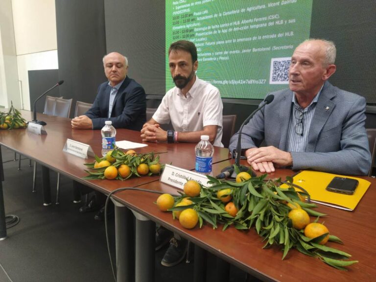 AVA. El proyecto PRE-HLB apremia a la UE a “estar lo mejor preparados para el HLB: sería el infierno”