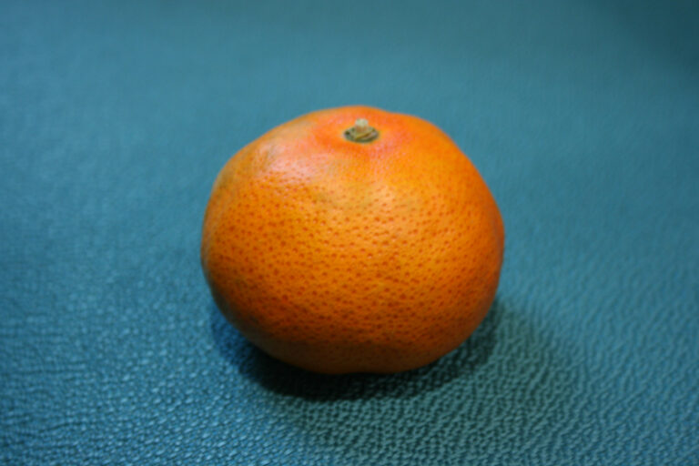 AVA-ASAJA denuncia la introducción clandestina y fraudulenta en la C. Valenciana de una mandarina procedente de un país infestado de «greening»