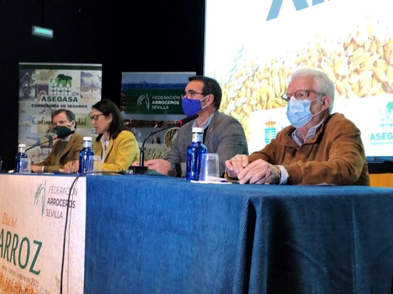Asaja Sevilla. El plan estratégico del Ministerio de Agricultura para la nueva PAC margina al arroz frente al resto de los regadíos