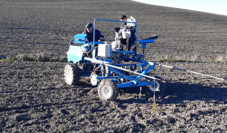 El grupo operativo del garbanzo comienza la siembra de diez ecotipos para conseguir la IGP