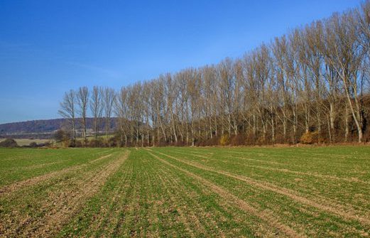 Asaja de León es la entidad que más titularidades compartidas (T.C.) de explotaciones agrarias ha tramitado de toda España
