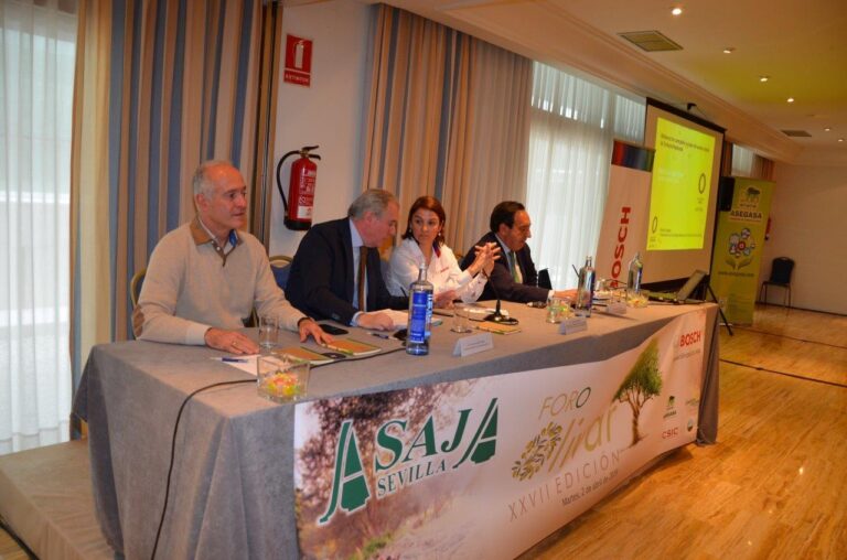 LAS EXPORTACIONES DE ACEITE DE OLIVA ESPAÑOL MARCARÁN UN NUEVO RÉCORD CUANDO SE CIERRE LA CAMPAÑA DE COMERCIALIZACIÓN 2018/19
