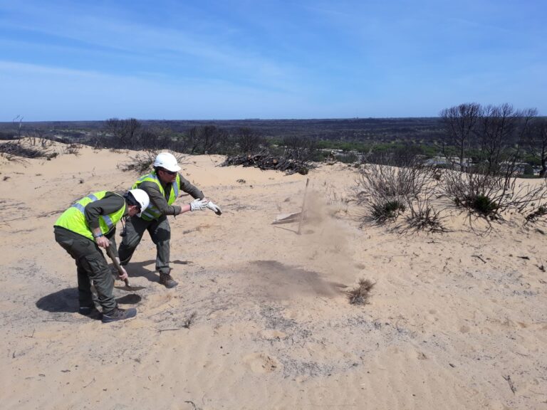 Asaja Córdoba: Una empresa cordobesa entrega 160 kilos de semillas para la recuperación de la zona incendiada de Doñana