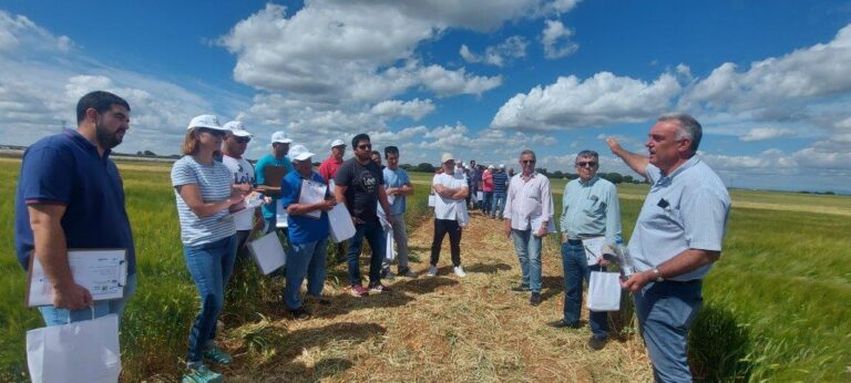 Asaja Guadajara.  Unos 60 agricultores visitaron los ensayos de APAG-Coagral en Argecilla