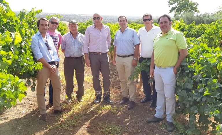 Nueva oficina de Asaja-Cádiz en Setenil de las bodegas