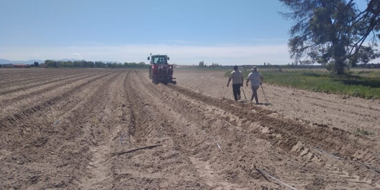 El paro en la agricultura desciende mientras aumenta en otros sectores en agosto