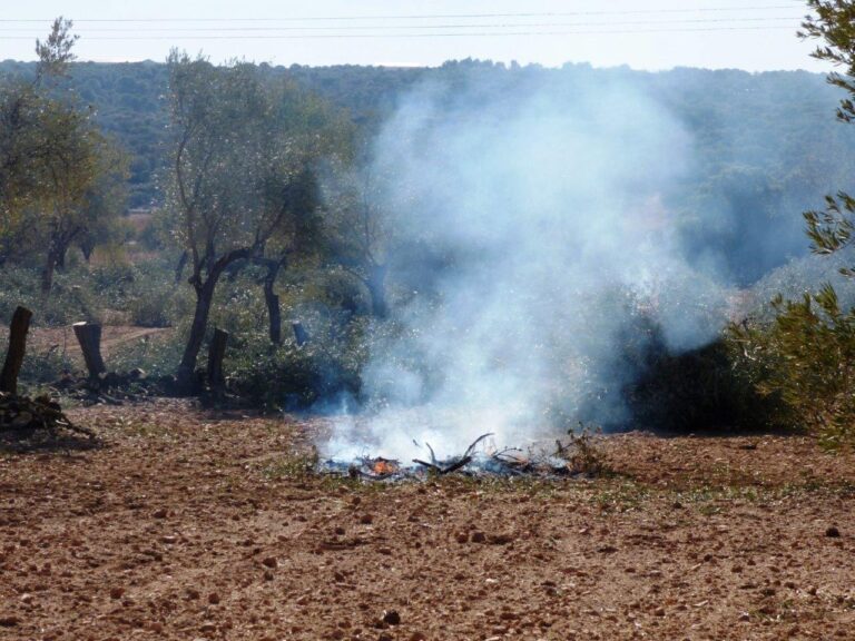 Asaja Cádiz critica que un procedimiento interno de la Junta de Andalucía está perjudicando los terrenos forestales al bloquear las autorizaciones de quemas