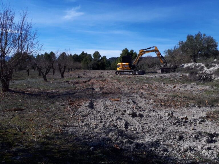 Asaja Alicante presenta alegaciones al borrador de las Ayudas a la Replantación de cultivos afectados por Xylella