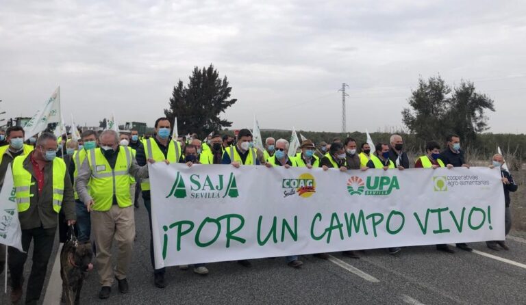4.000 agricultores y ganaderos cortan la AP-4 en defensa de una PAC justa y precios dignos para el campo sevillano