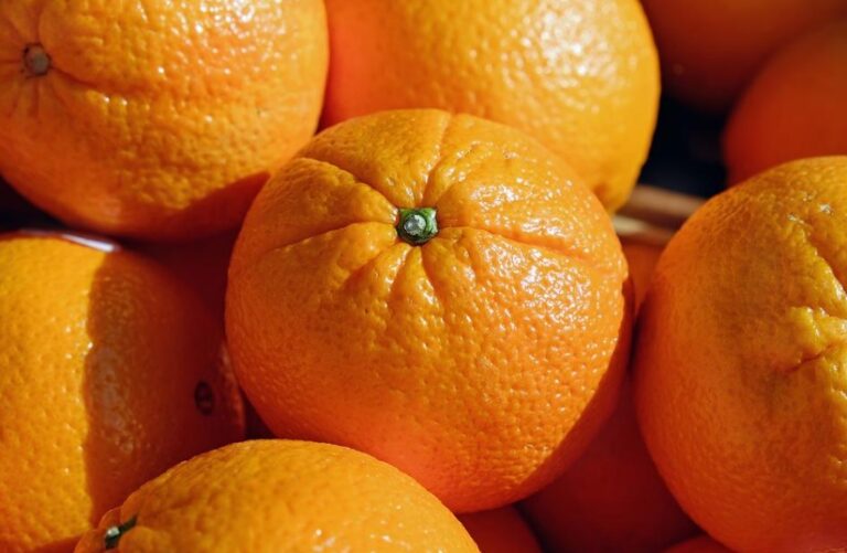 Asaja Córdoba denuncia ante el Ministerio de Agricultura la venta de naranja de Egipto como si fueran de Palma del Río