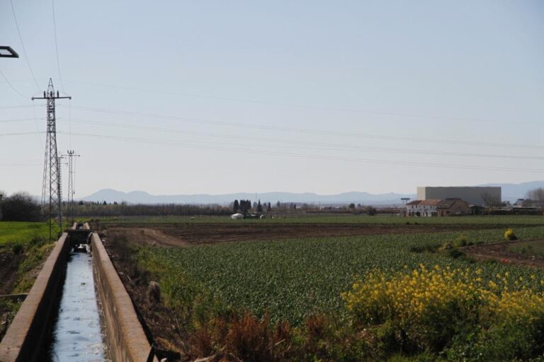Asaja Granada reclama a la CHG la utilización de aguas depuradas para salvar los cultivos de la Vega