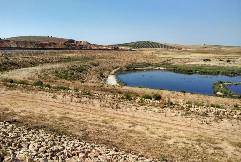 Asaja pide eliminar trabas a la creación de balsas y microembalses para aliviar periodos de sequía