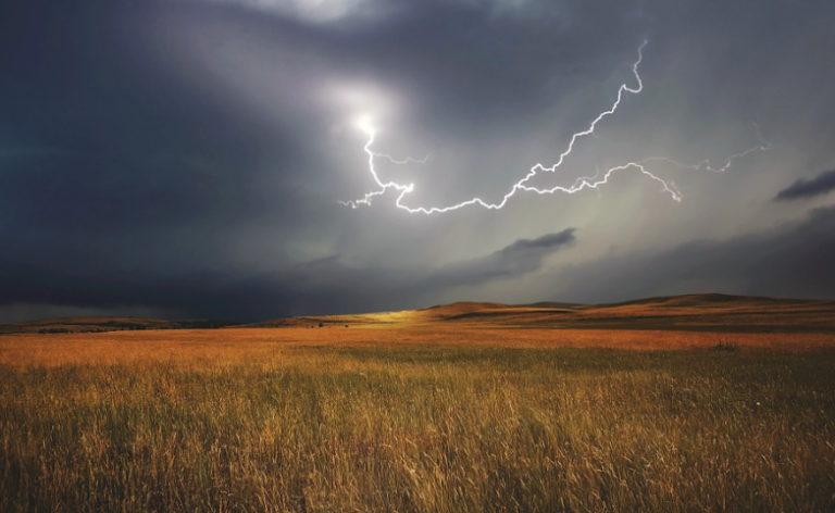 Las lluvias de marzo y abril dan un respiro al campo