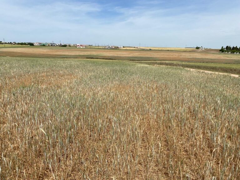 Apag Extremadura Asaja intensificará las protestas por la sequía