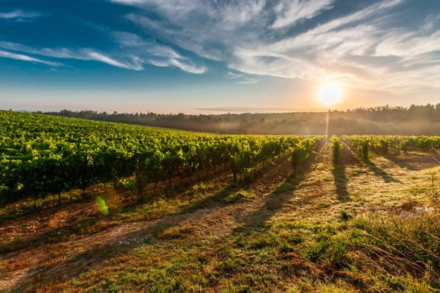 ASAJA Ciudad Real, valora “muy positivamente” la puesta en marcha de la Guardería Rural Nocturna de Campo de Criptana