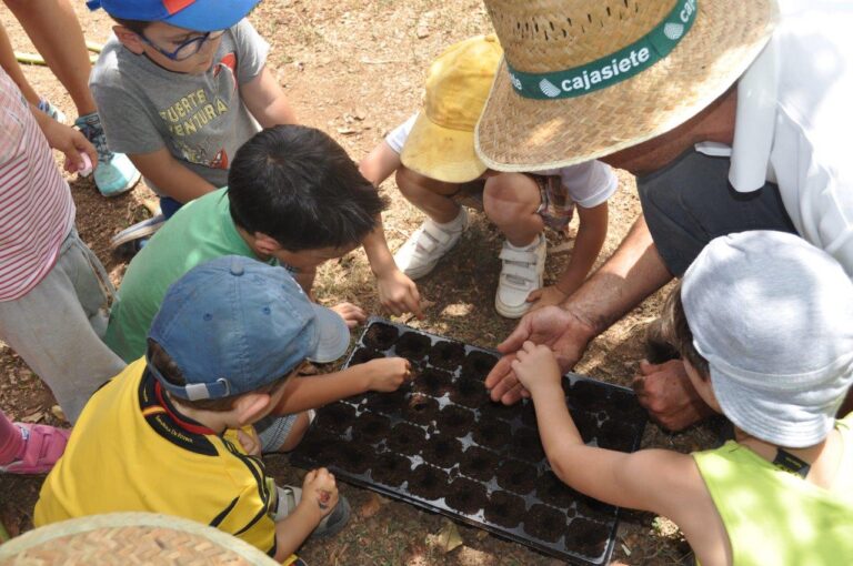 Comienza la 14 edición de la escuela de verano  de Asaga Canarias