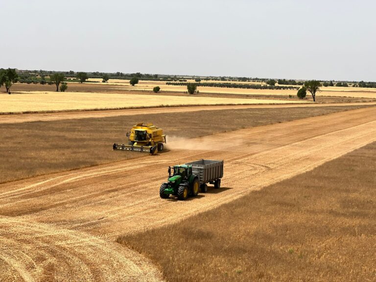 Convocadas ayudas por 37,5 millones de euros para proyectos de innovación suprautonómicos