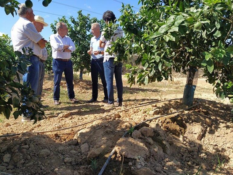 AVA-ASAJA muestra al conseller de Agricultura los daños del jabalí y pide soluciones urgentes