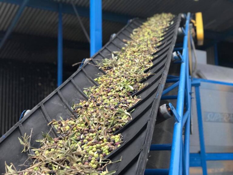 Asaja valora la rebaja al 7% de las ordenanzas fiscales del Ayuntamiento de Córdoba