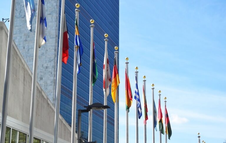 Cumbre de las Naciones Unidas: en los compromisos con visión de futuro se debe reconocer al papel central de los agricultores y ganaderos