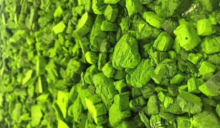 Grupo Operativo MicroClimatt: poniendo en valor el papel de los bioestimulantes de microalgas para una agricultura más sostenible