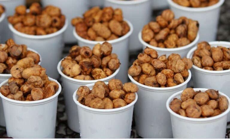 A pocos días para finalizar la recolección en la huerta valenciana, Asaja Valencia AVA estima que la producción alcanzará los 8 millones de kilos